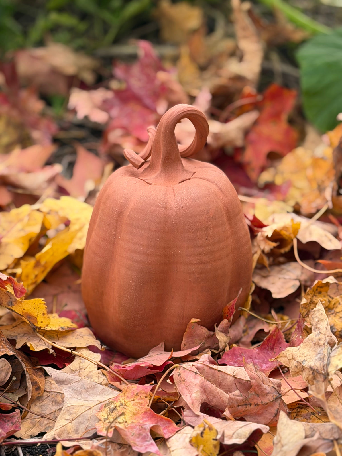 Terracotta Pumpkin - Autumn Collection
