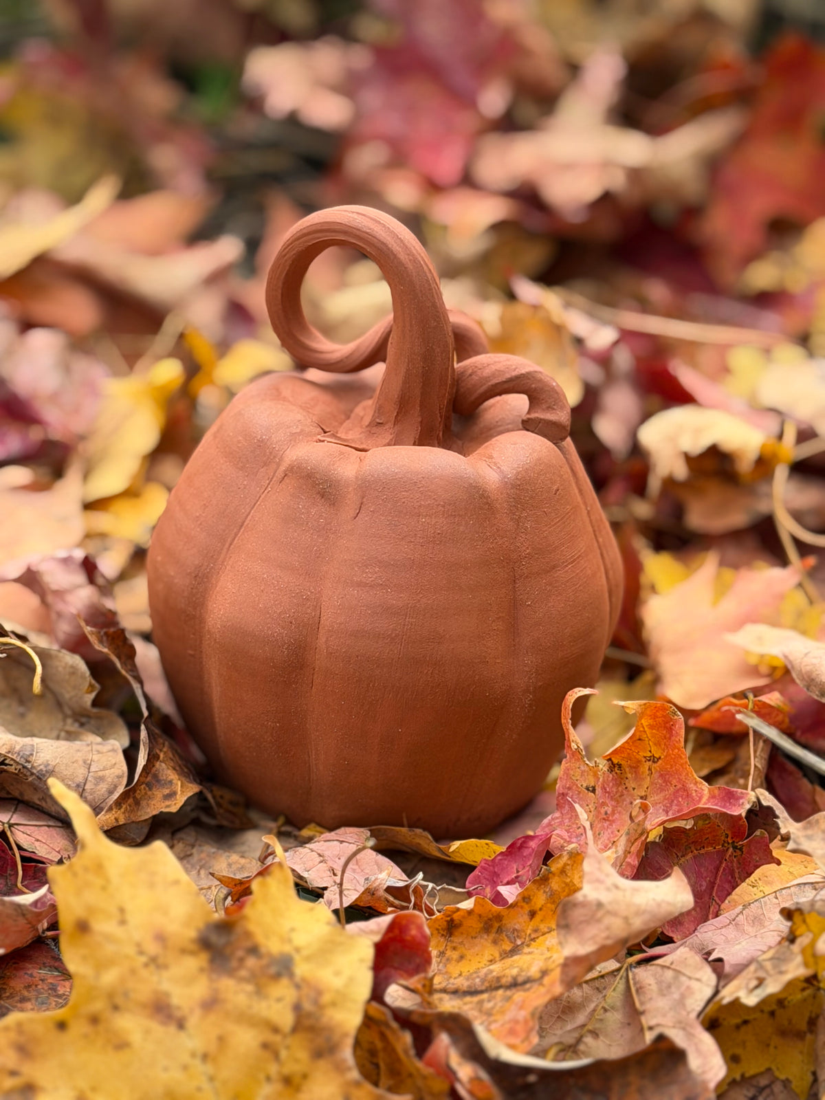 Terracotta Pumpkin - Autumn Collection