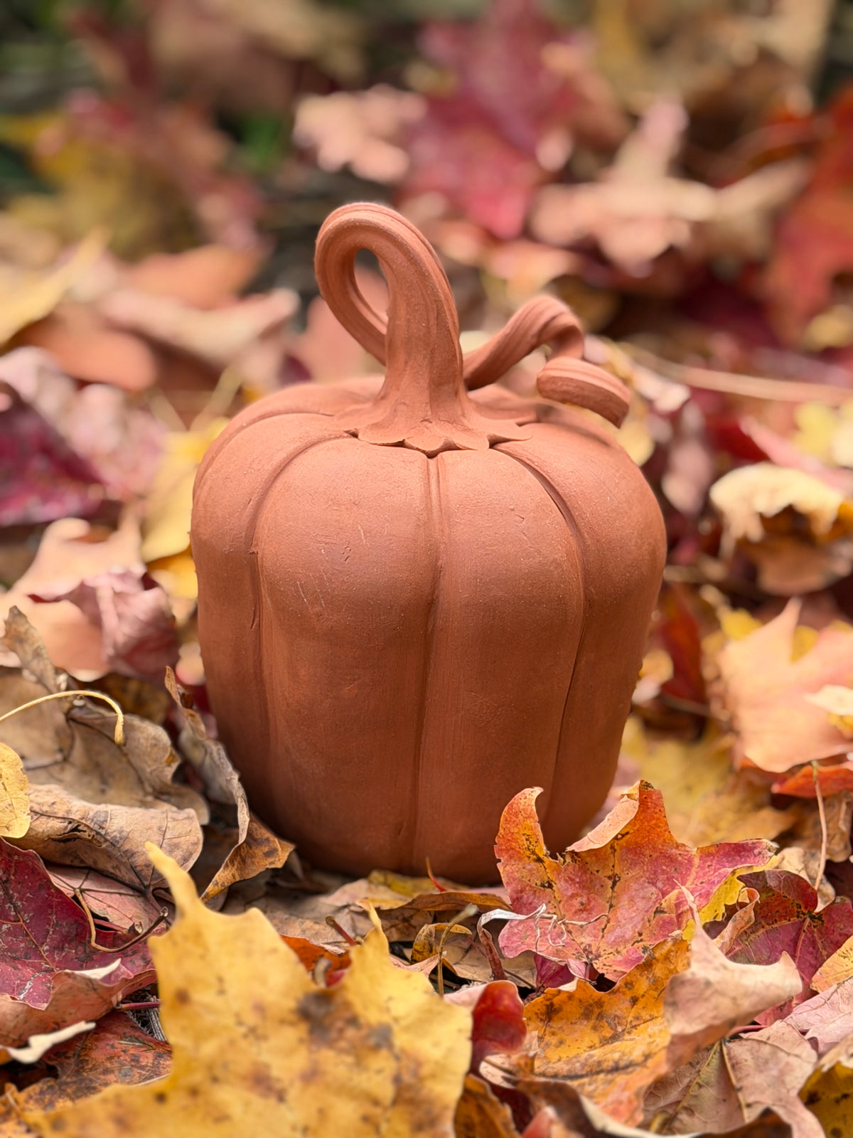 Terracotta Pumpkin - Autumn Collection