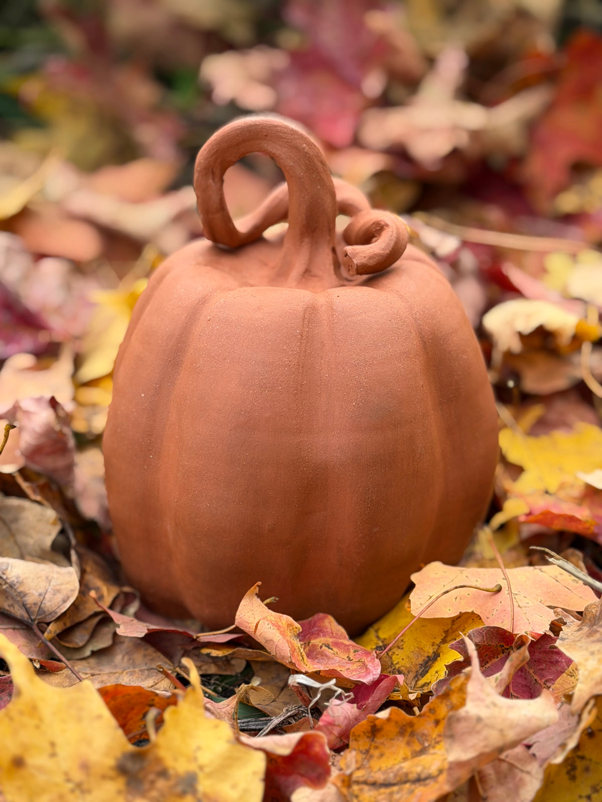 Terracotta Pumpkin - Autumn Collection