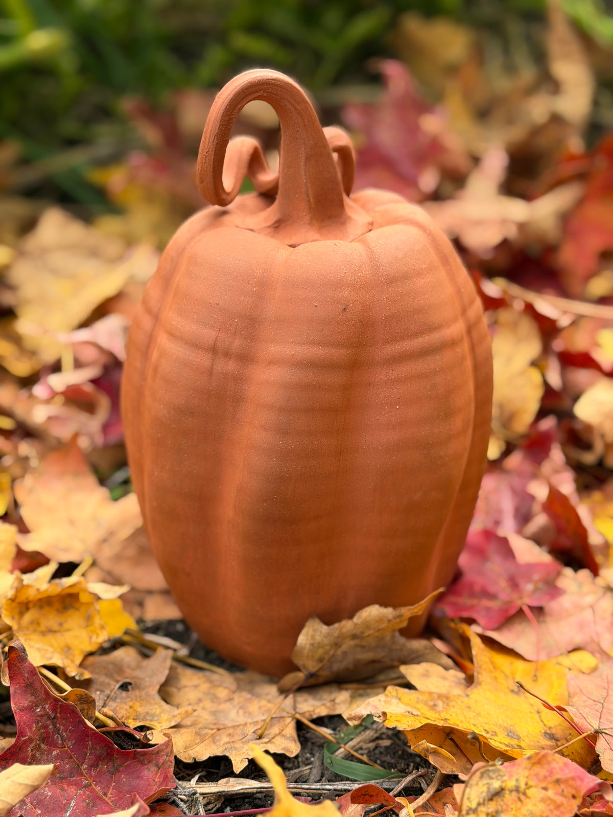 Terracotta Pumpkin - Autumn Collection