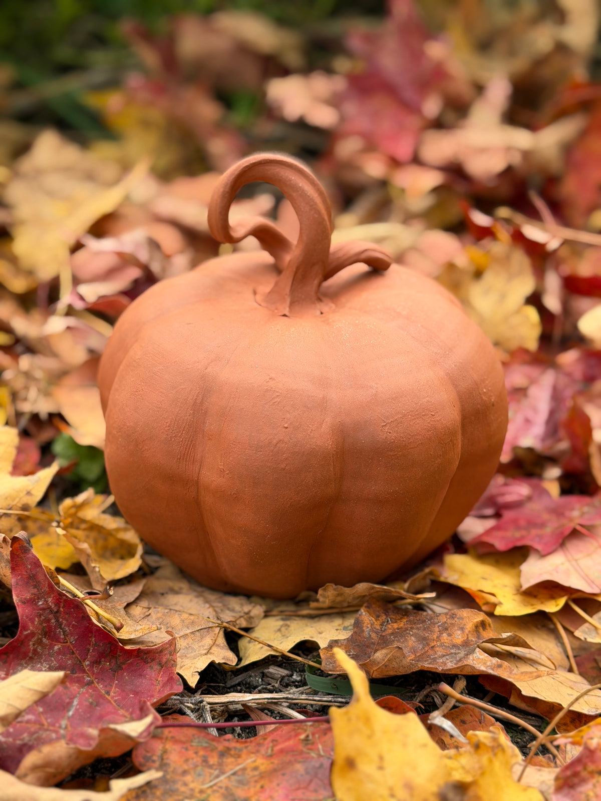 Terracotta Pumpkin - Autumn Collection