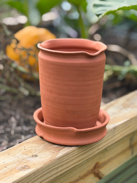 Terracotta Planter - Autumn Collection