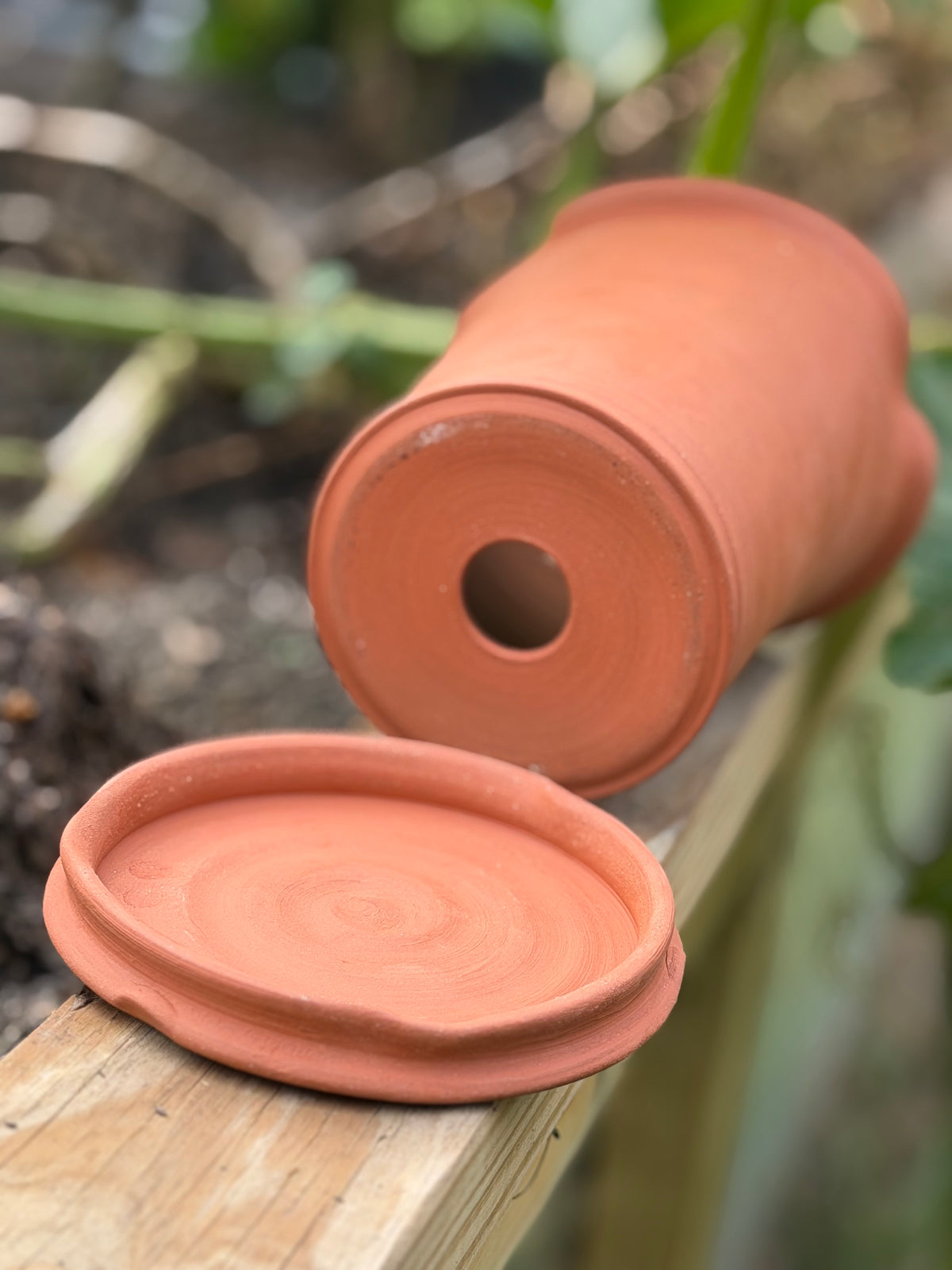 Terracotta Planter - Autumn Collection