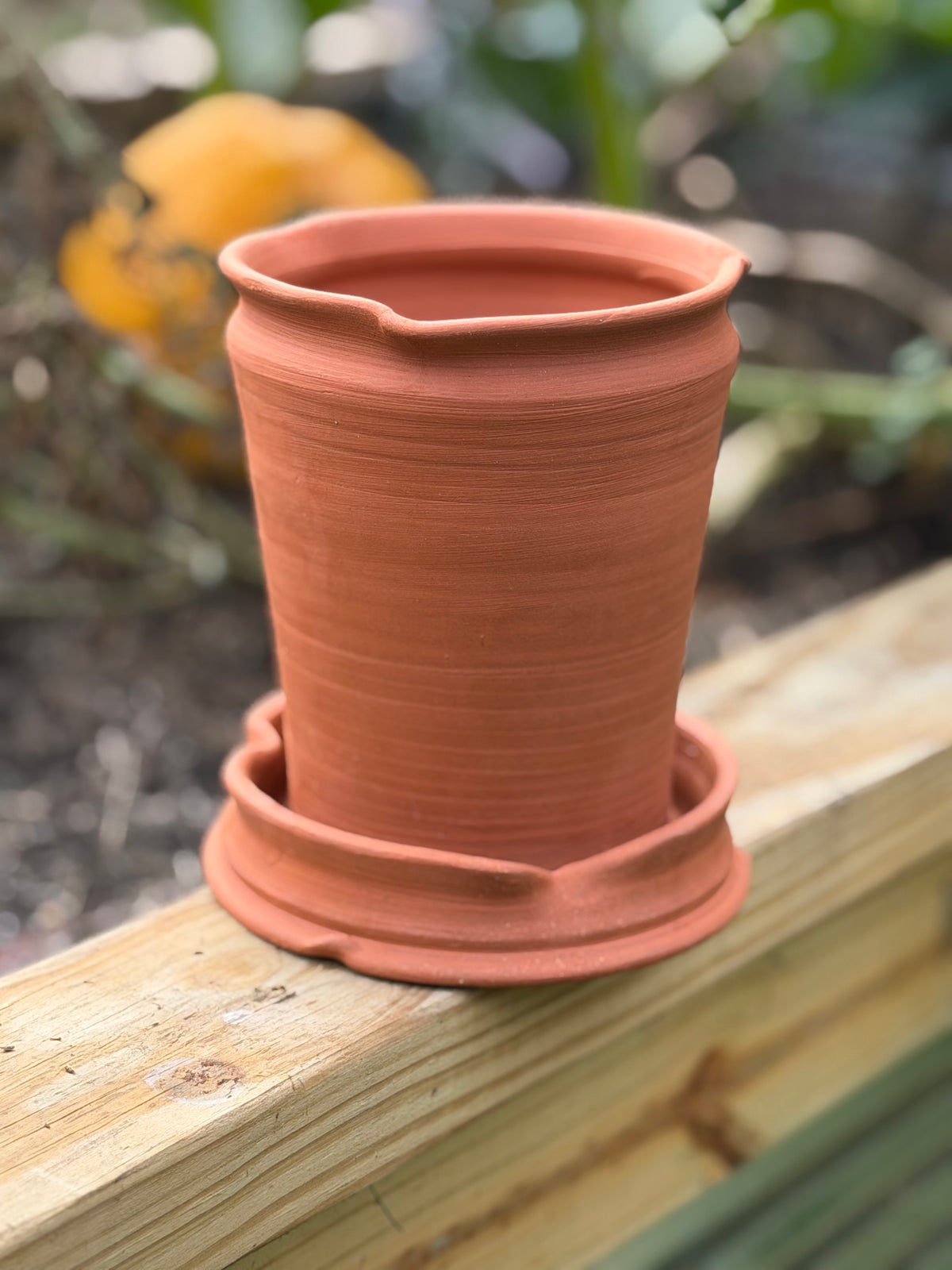 Terracotta Planter - Autumn Collection
