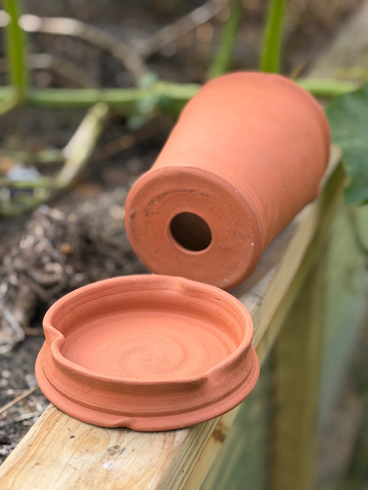 Terracotta Planter - Autumn Collection